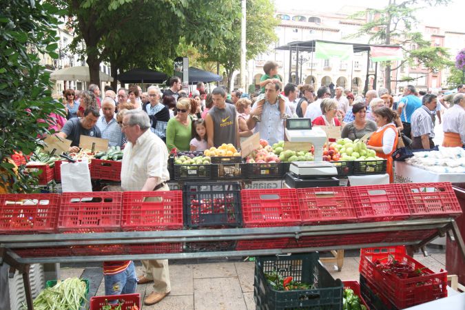 concurso-agricultura-9